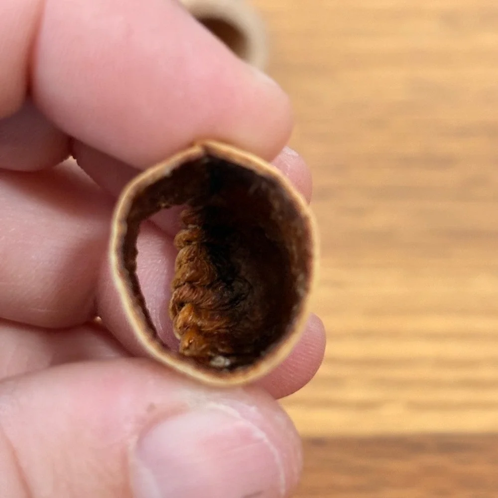 Vintage Sewing Thimble Leather Textured Tan Brown Sewing Accessory Stitched VTG
